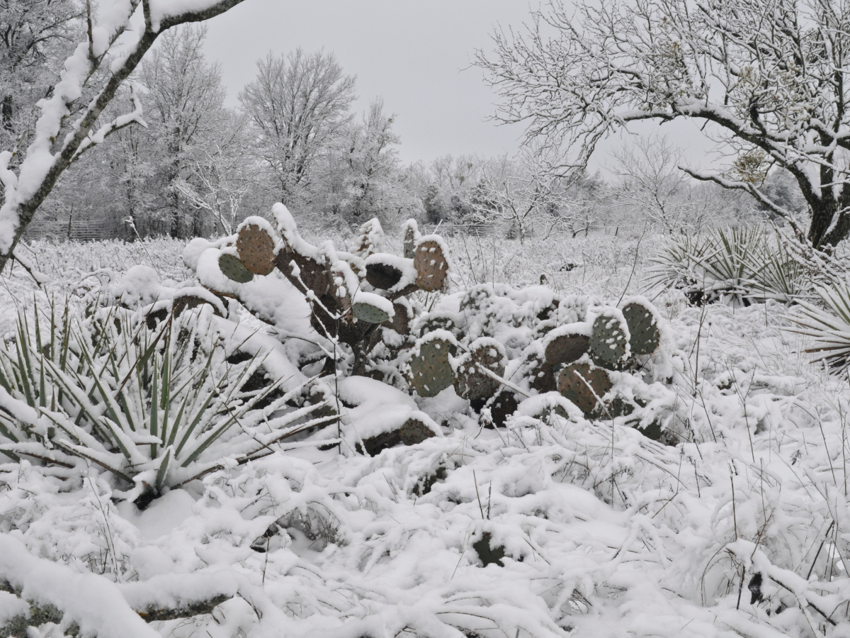 Getting Your Austin, Texas Rental Property Ready for Winter Weather: Tips for Landlords 